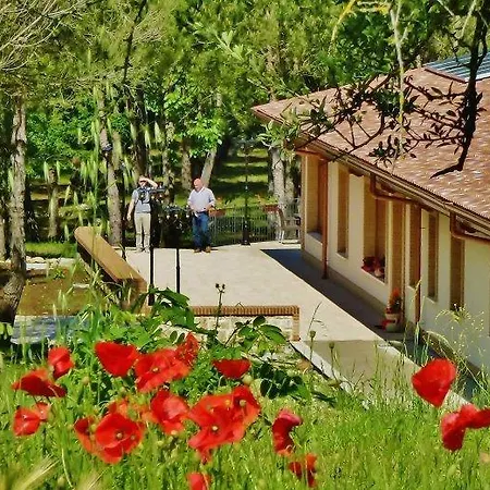 Valle Dei Pini